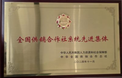 2024全國供銷合作社系統(tǒng)先進(jìn)集體